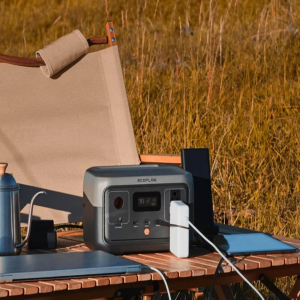 Kit Solar Portátil EcoFlow RIVER 2 300 W + Panel Solar Bifacial 110 W _9