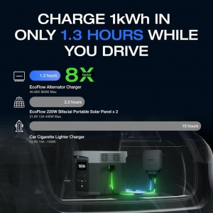 Cargador para Alternador de Carro Ecoflow 800 W_5